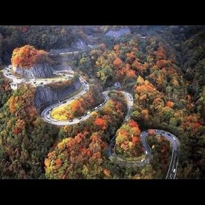 Meet your Posher, Debra