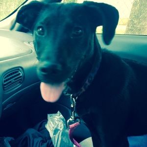 Meet your Posher, Shaylee