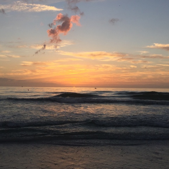 Meet your Posher, Brandy - Picture 2 of 2