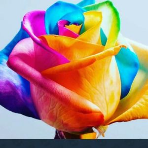 Meet your Posher, Asha