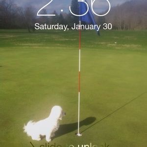 Meet your Posher, George