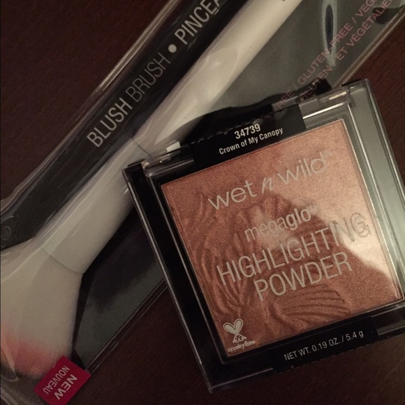 Wet and Wild Highlighter and Brush Set