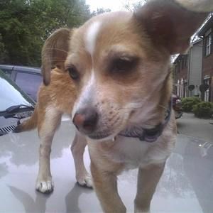 Meet your Posher, Flora