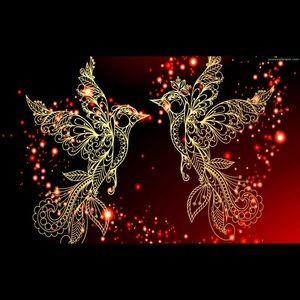 Meet your Posher, Darla