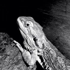 Meet your Posher, Krista