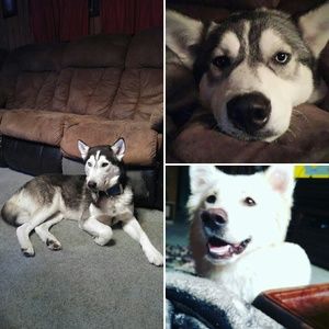 Meet your Posher, Leah