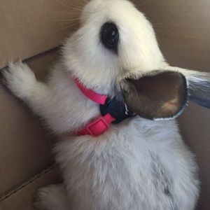 Meet your Posher, Kelley