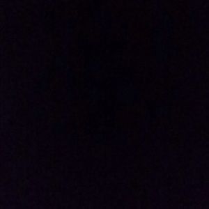 Meet your Posher, Autumn