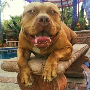 Meet your Posher, Sandra