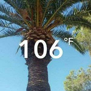 Meet your Posher, Eloisa