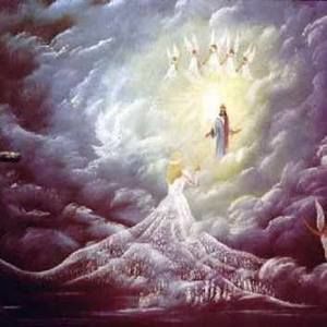 Meet your Posher, Judy