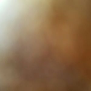 Meet your Posher, Adilene