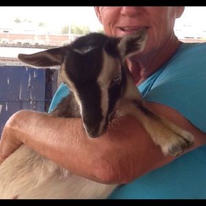 Meet your Posher, Olivia