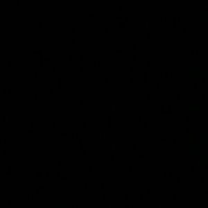 Meet your Posher, Leonii