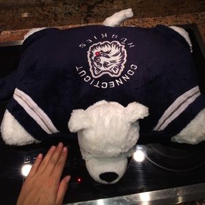 Uconn pillow pet