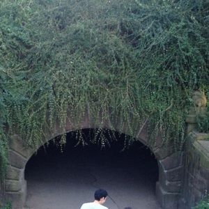 Meet your Posher, Ivy