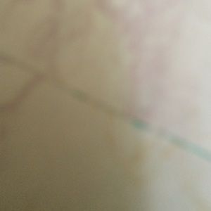 Meet your Posher, Rit