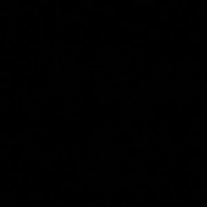 Meet your Posher, Kylie