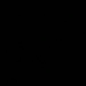 Meet your Posher, Marisol