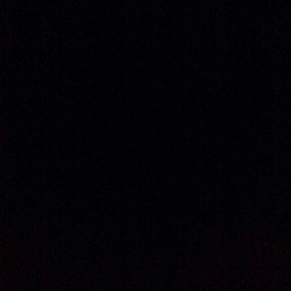 Meet your Posher, Abby - Picture 1 of 1