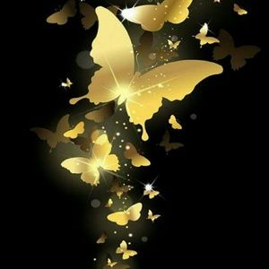 Meet your Posher, Nina