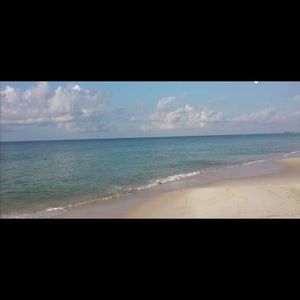 Meet your Posher, Laney