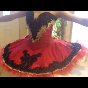 Professional Ballet Tutu Costume