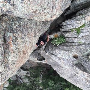 Meet your Posher, Ally