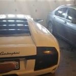 Meet your Posher, Shawn