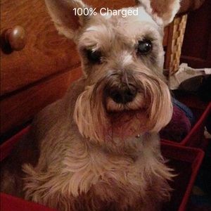 Meet your Posher, Crystal