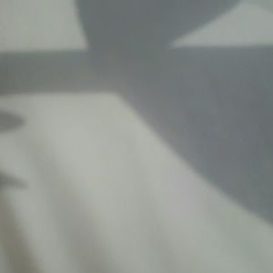 Meet your Posher, Mitzi