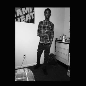 Meet your Posher, Roy