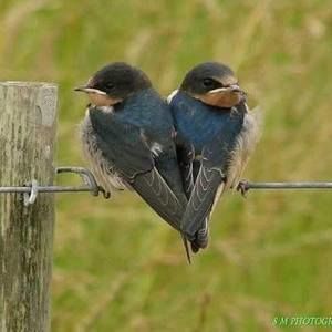 Meet your Posher, Teresa