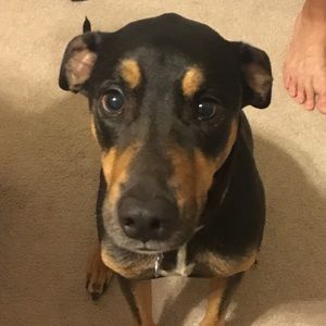 Meet your Posher, Jenna