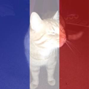 Meet your Posher, April