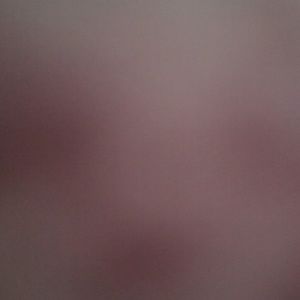 Meet your Posher, Mia