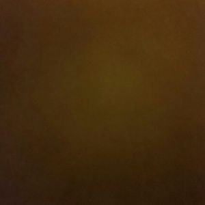 Meet your Posher, Danny