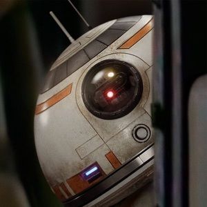 Meet your Posher, Rhiannon