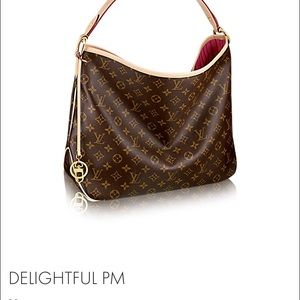 Louis Vuitton purse Authentic bag