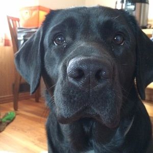 Meet your Posher, Brenna