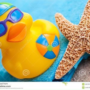 Meet your Posher, Sandy