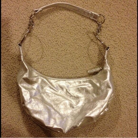 Silver purse