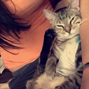 Meet your Posher, Cassandra