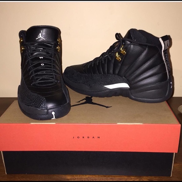 Jordan 12 Master - Picture 1 of 1