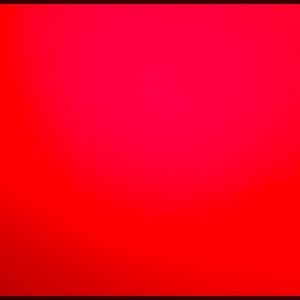 Meet your Posher, Lily