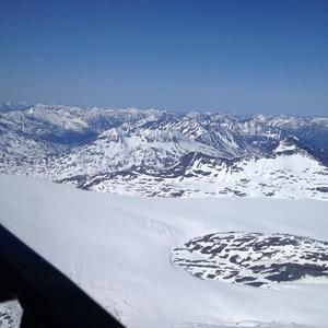 Meet your Posher, Oliver