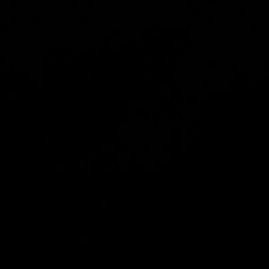 Meet your Posher, Kailey