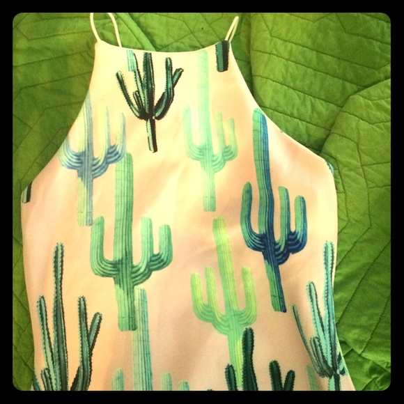 Brand New never been worn cactus Body con dress.