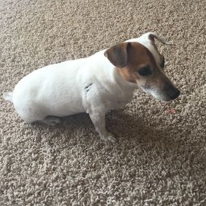 Meet your Posher, Cari