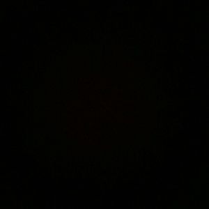 Meet your Posher, Rico